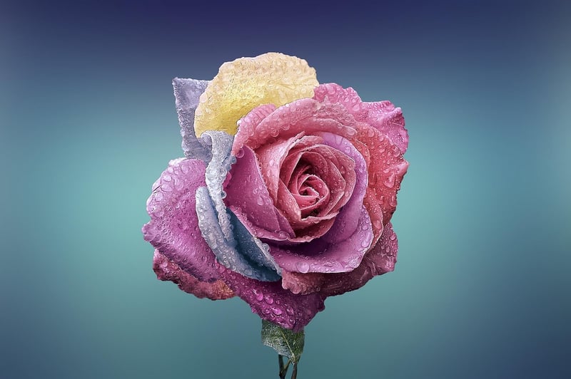 Floral Romance